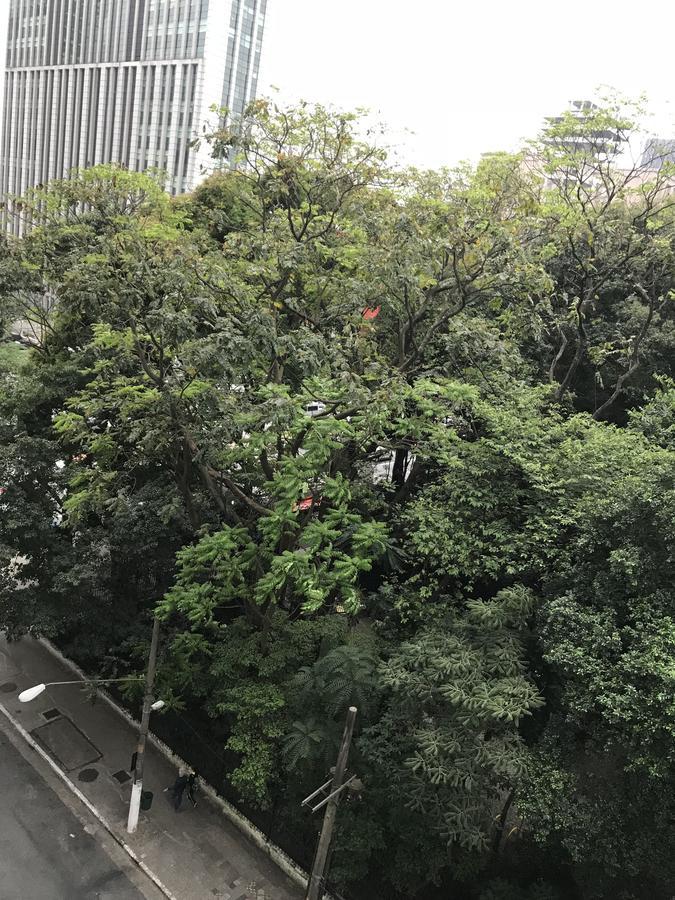 Loft At Paulista Avenue Lejlighed São Paulo Eksteriør billede